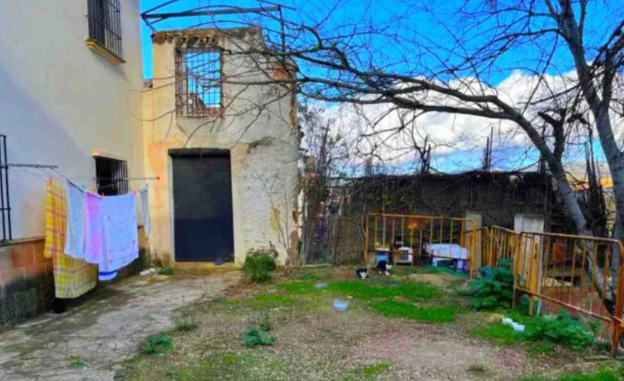 চোখের ধাঁধা: এই ছবিতে লুকিয়ে আছে ৪ টি বিড়াল, রইলো ১২ সেকেন্ডে খুঁজে বের করার চ্যালেঞ্জ