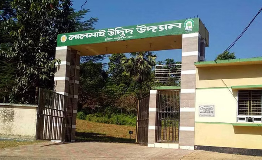 লালমাই উদ্যানে বিরল উদ্ভিদের মুগ্ধতা