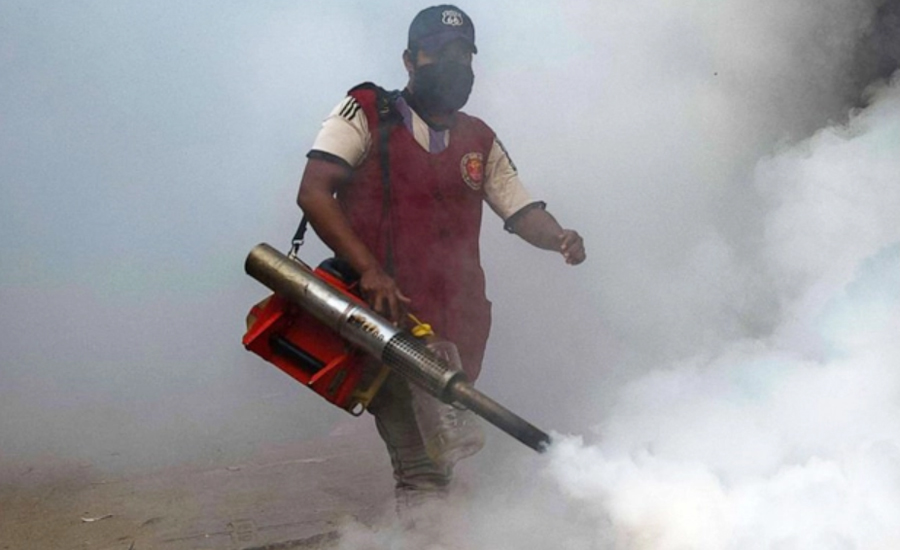 মশা মারতে ‘কামান দাগা’ বন্ধ করবে ডিএনসিসি