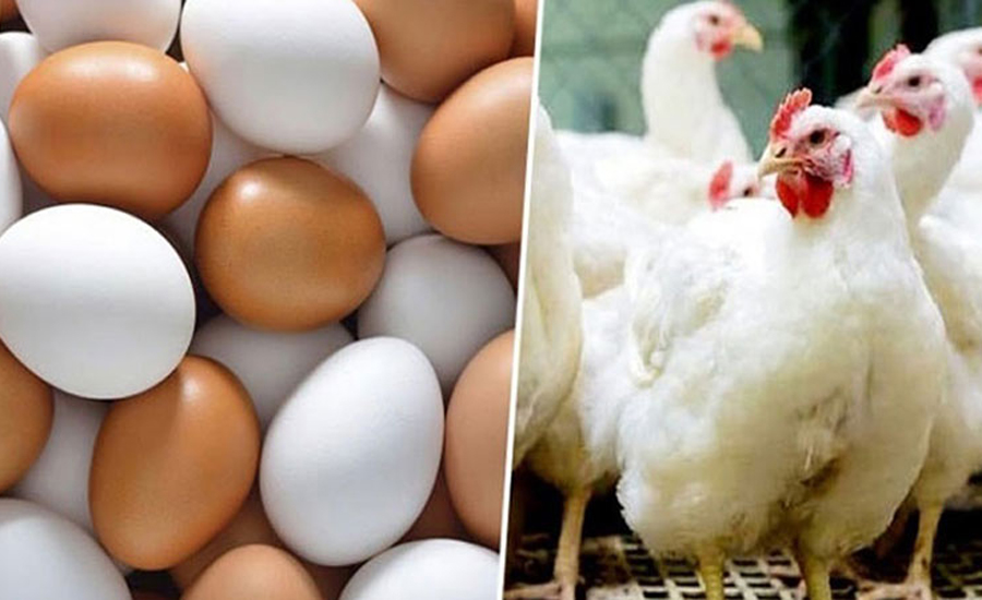 মুরগি ও ডিমের বাজার কাদের হাতে 