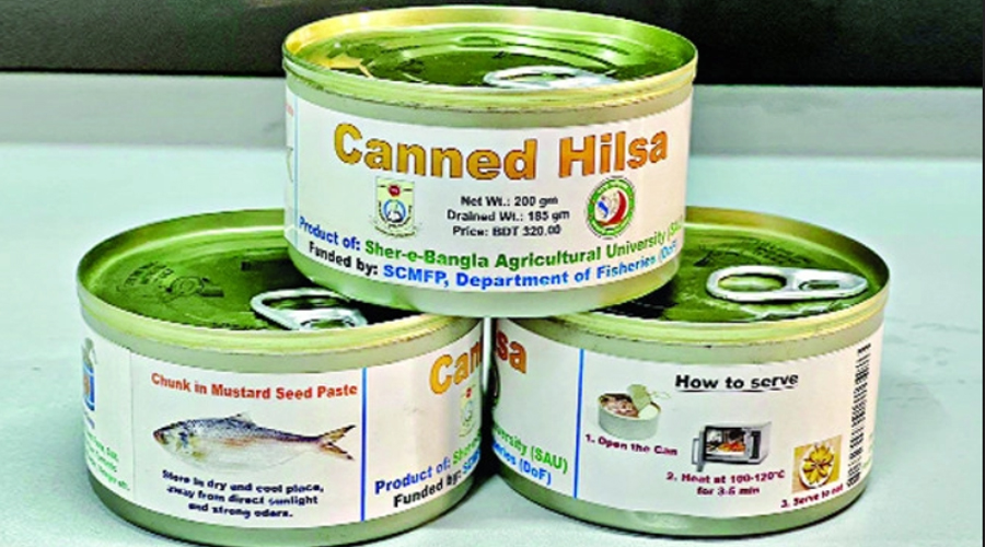 এবার কৌটায় পাওয়া যাবে টুনার মতো ইলিশ মাছও