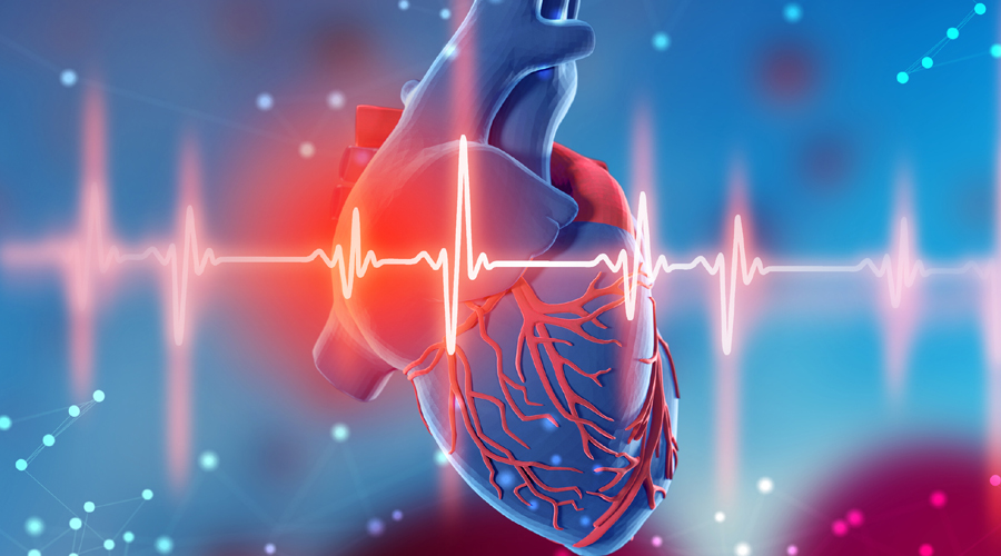 ক্যানসার ও হৃদ্‌রোগের ঝুঁকি কমাতে খরচ করুন মাত্র ১১ মিনিট! কী কী করতে হবে এই সময়ে?