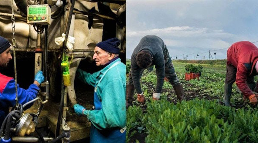 ৮২ হাজার শ্রমিক নেবে ইতালি, আবেদন চলতি মাসেই