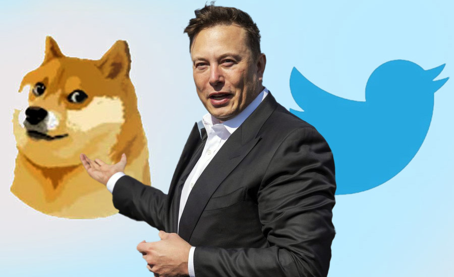 উড়ে গেল টুইটারের নীল পাখি, বদলে এল কুকুরের মুখ! কেন পাখিকে উড়তে দিলেন ইলন?