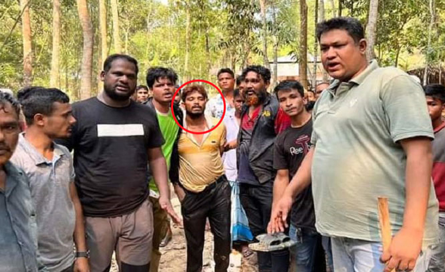 গরুর নামে ঘোড়া কেটে বিক্রি, কসাই বললেন ‘ঘোড়া মূল্যবান’