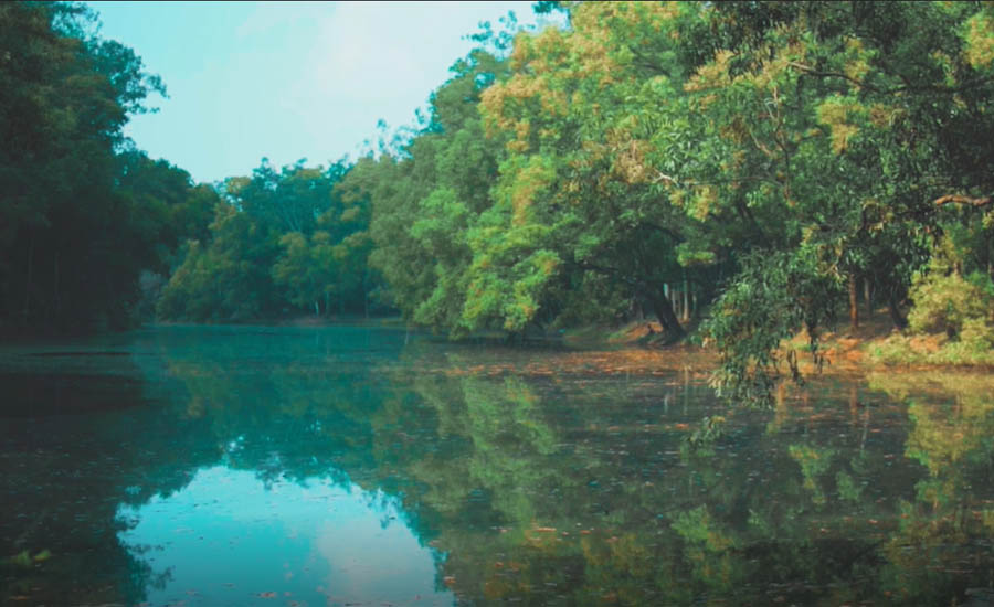 বর্ষা উপভোগ করতে ঢাকার কাছেই ডে ট্যুরের ৫ গন্তব্য