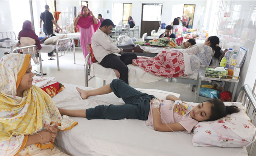 দেশে ডেঙ্গু চিকিৎসায় এত খরচ কেন?