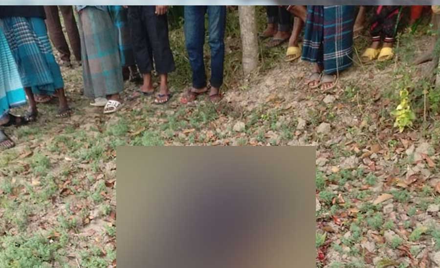মাঠ থেকে দুই ভাইয়ের গলাকাটা লাশ উদ্ধার