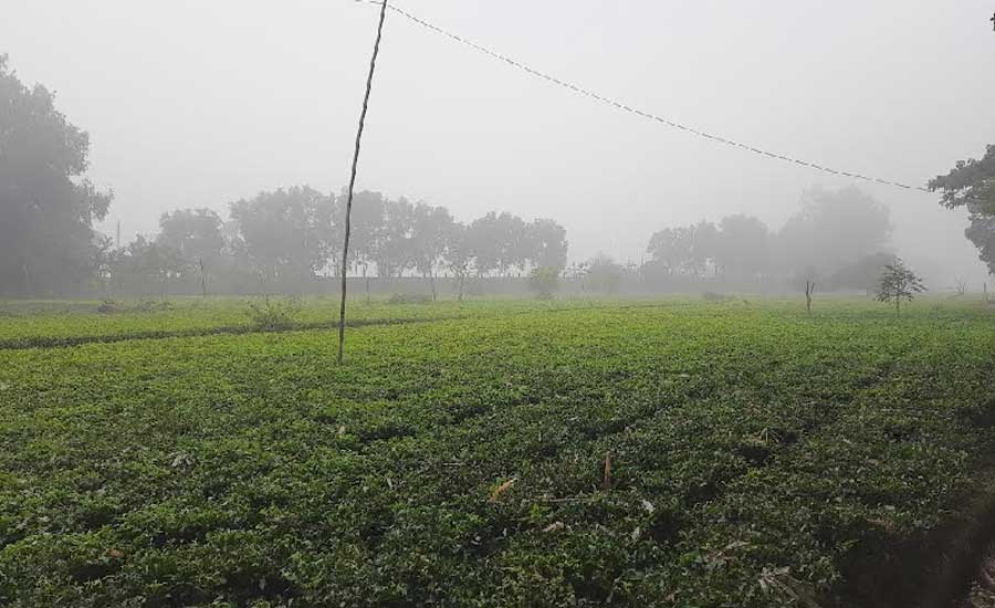 বছরের প্রথম দিনেও দেশের সর্বনিম্ন তাপমাত্রা তেঁতুলিয়ায়