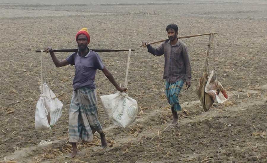 কুড়িগ্রামে তাপমাত্রা ১১.৫ ডিগ্রি সেলসিয়াস