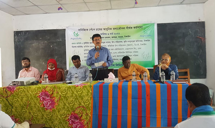 টাঙ্গাইলে অনুষ্ঠিত হলো বাণিজ্যিক পেঁপে চাষের আধুনিক কলাকৌশল