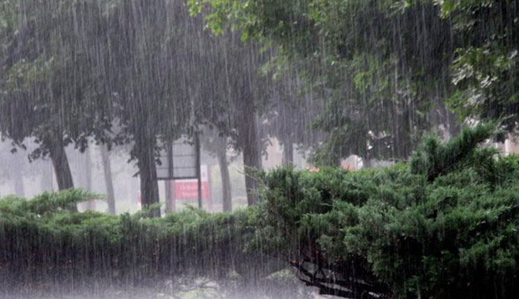 আগামী সপ্তাহে ঝড়-বৃষ্টির আভাস আগামী সপ্তাহে ঝড়-বৃষ্টির আভাস